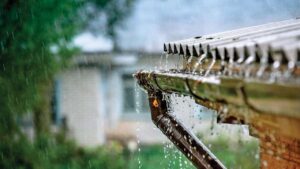 gutter collecting rainwater in your gutter