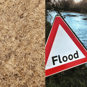 Drought vs Flood