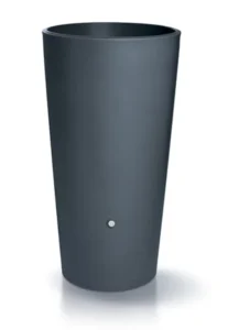 Rainbowl_flower
